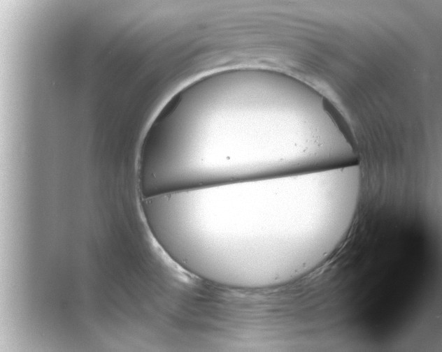 X0000070861532200606302033