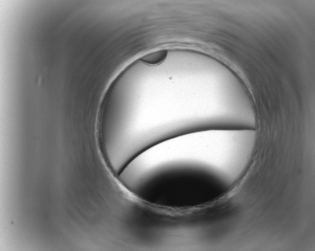 X0000070861533200606302033