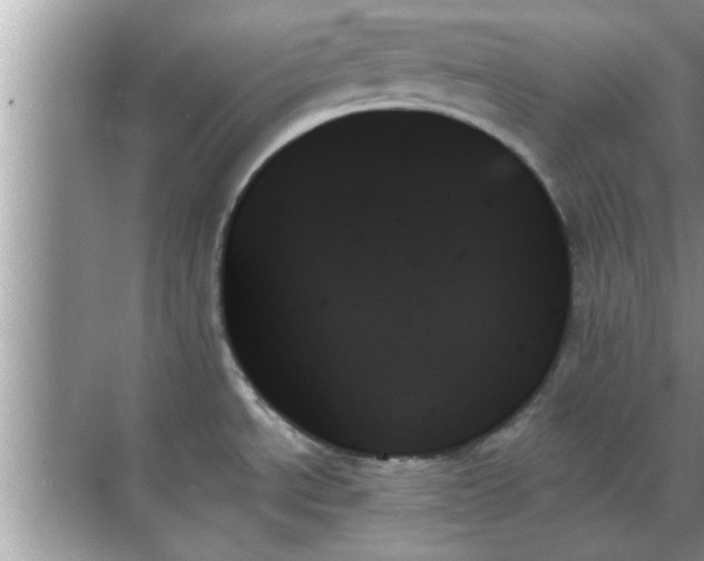 X0000070861534200606302033