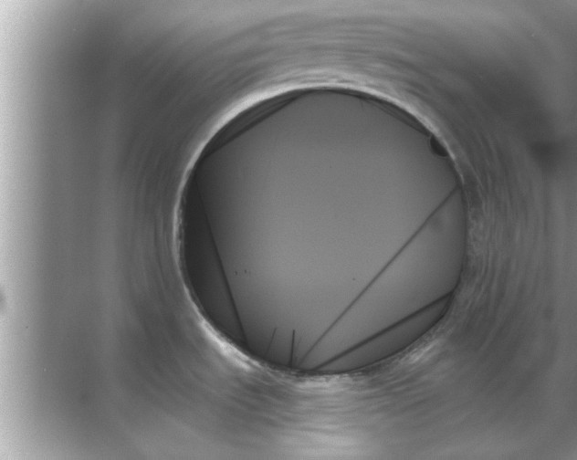 X0000070861535200606302033