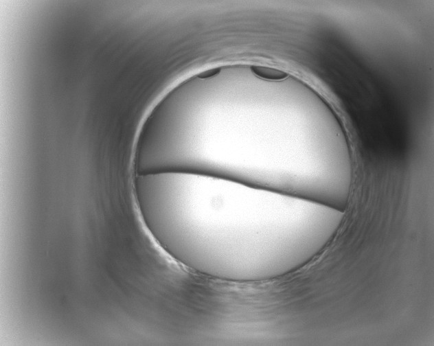 X0000070861536200606302033