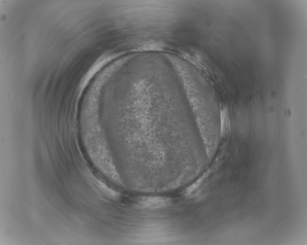 X0000070860195200607071906