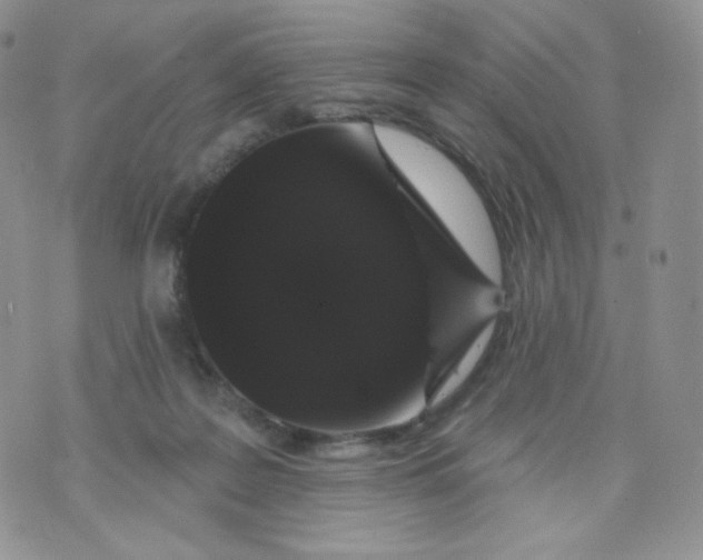 X0000070860219200607071906