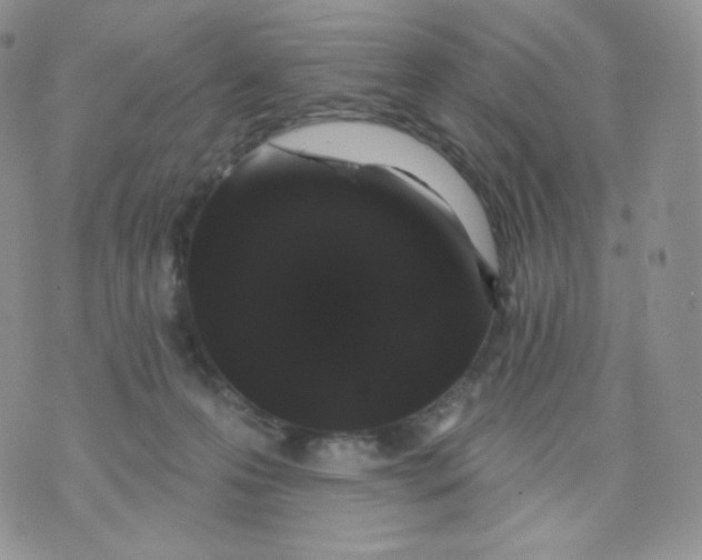 X0000070860223200607071906