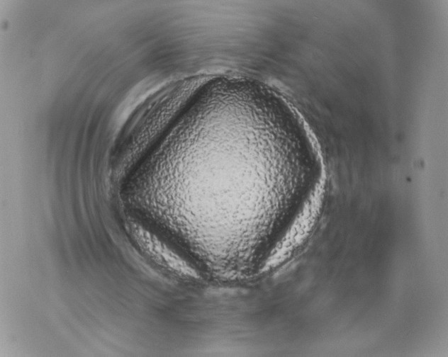 X0000070860242200607071904