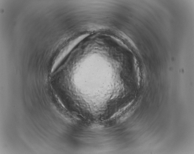 X0000070860257200607071905
