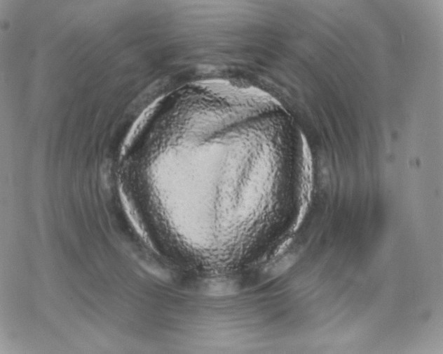 X0000070860275200607071905