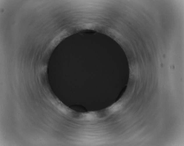 X0000070860286200607071905