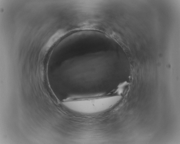 X0000070860295200607071904