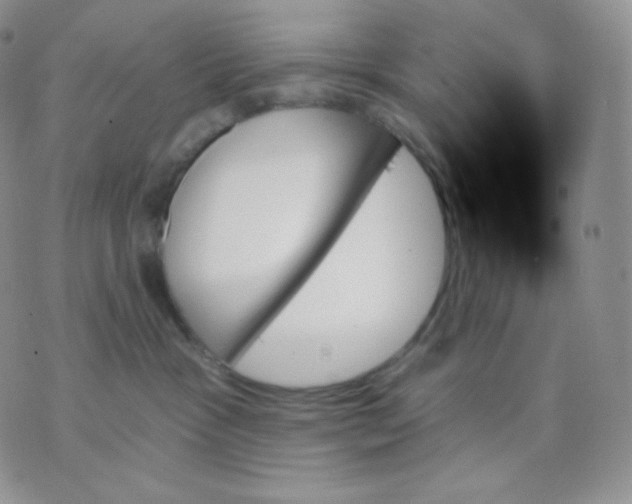 X0000070860333200607071904