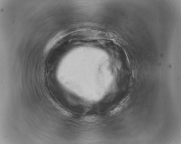 X0000070860341200607071903