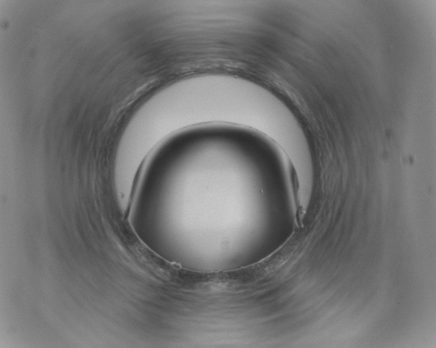X0000070860356200607071903