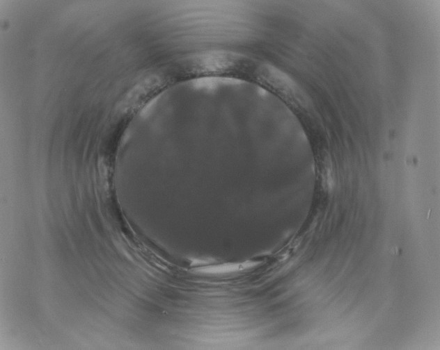 X0000070860366200607071903