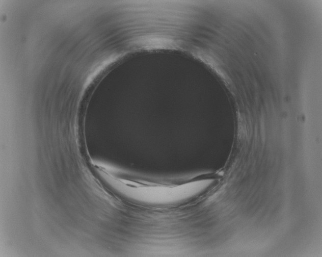 X0000070860391200607071903