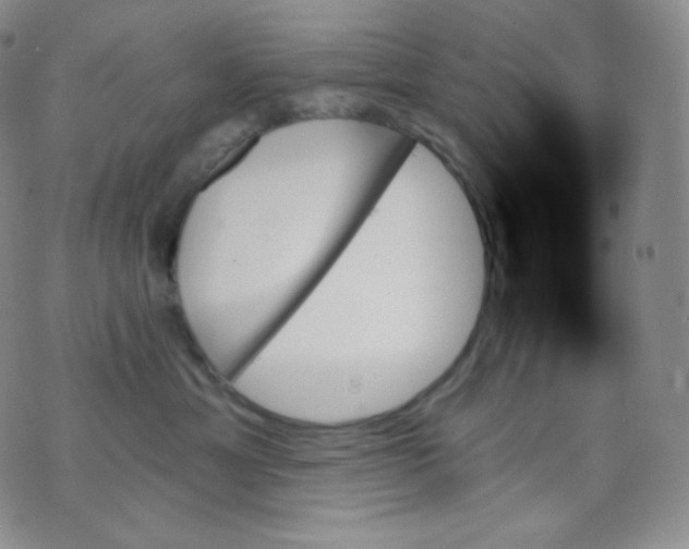 X0000070860429200607071902