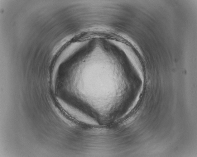 X0000070860437200607071901