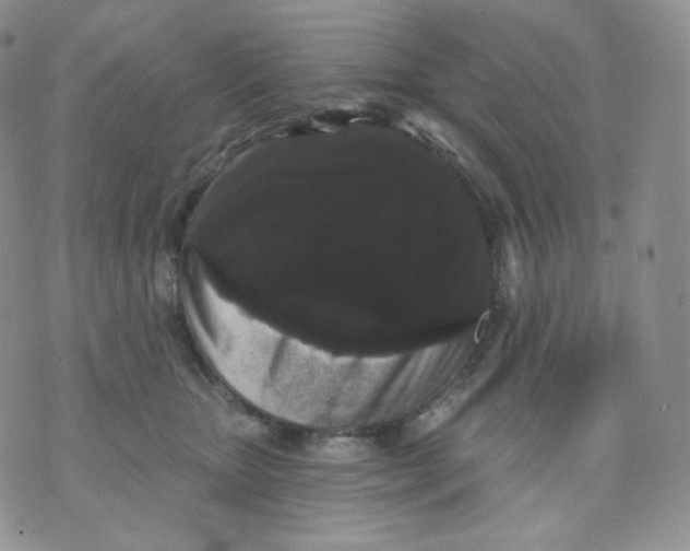 X0000070860467200607071902