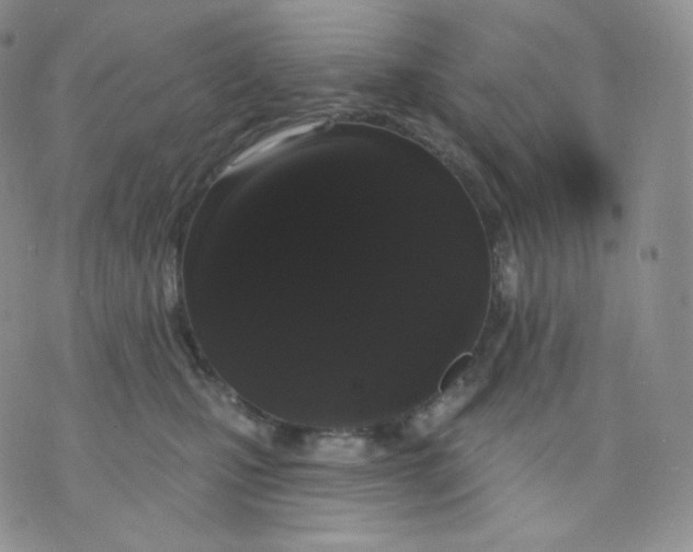 X0000070860471200607071902