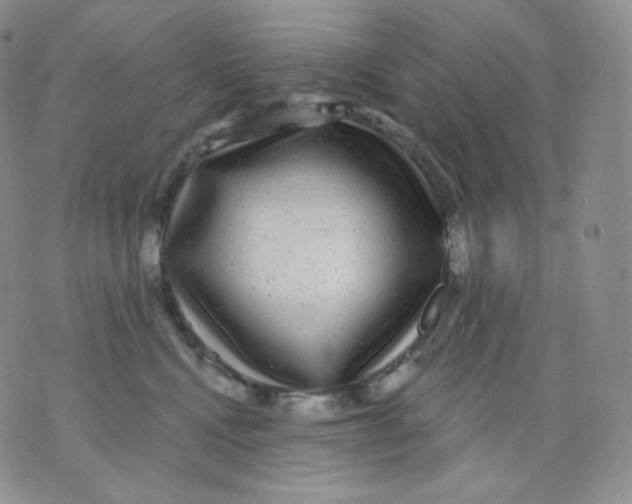 X0000070860472200607071902