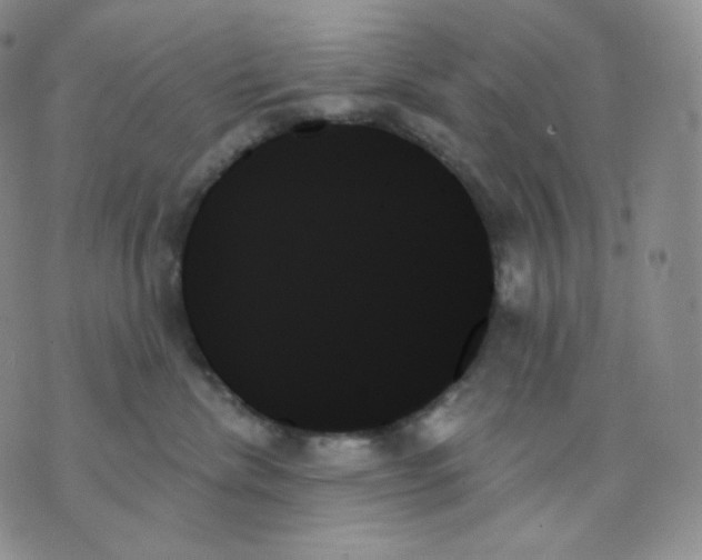 X0000070860476200607071902