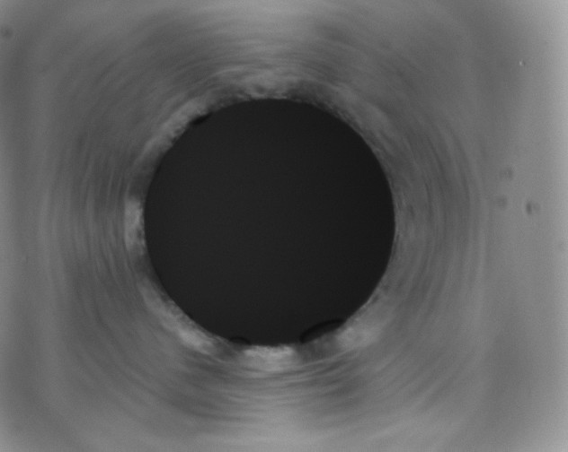 X0000070860480200607071902