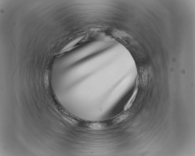 X0000070860562200607071900