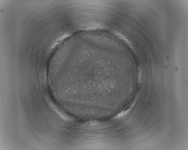 X0000070860589200607071859