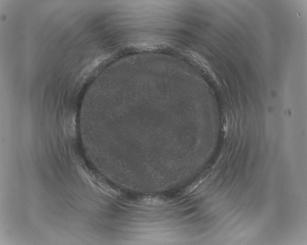 X0000070860596200607071859