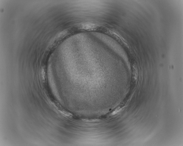 X0000070860597200607071859