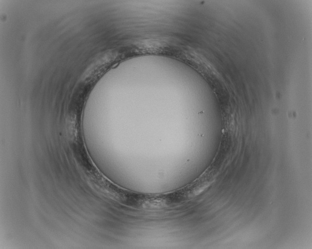 X0000070860599200607071859