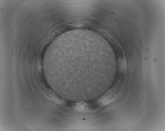 X0000070860612200607071859