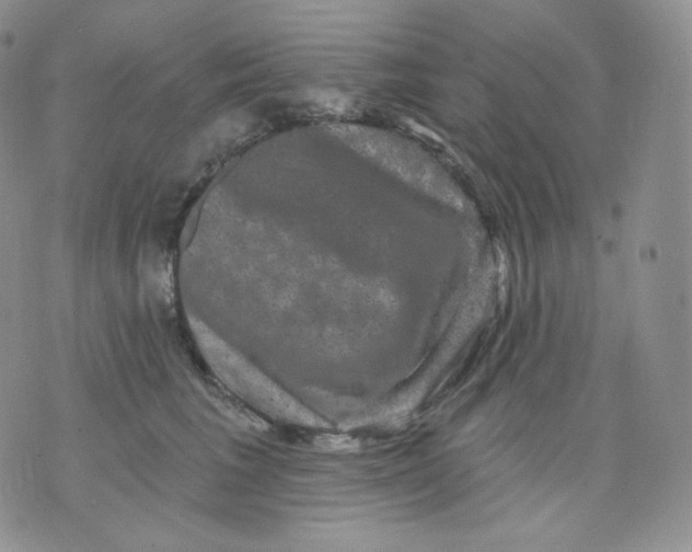 X0000070860613200607071859