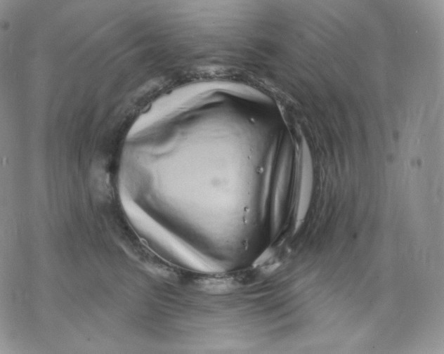 X0000070860615200607071859