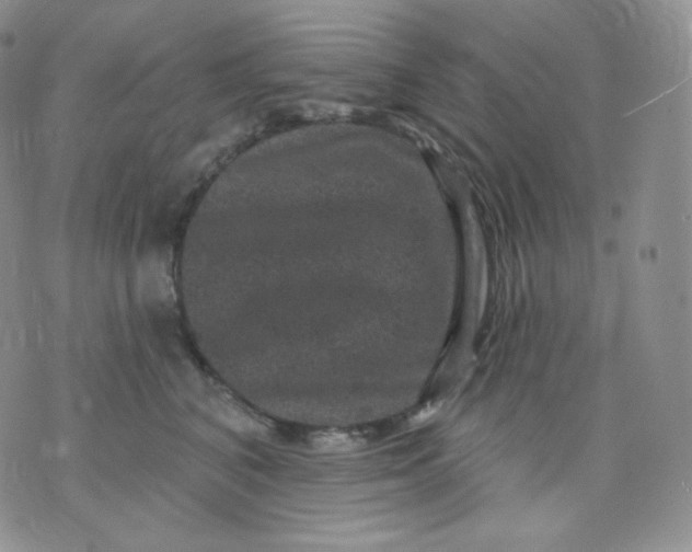 X0000070860616200607071859