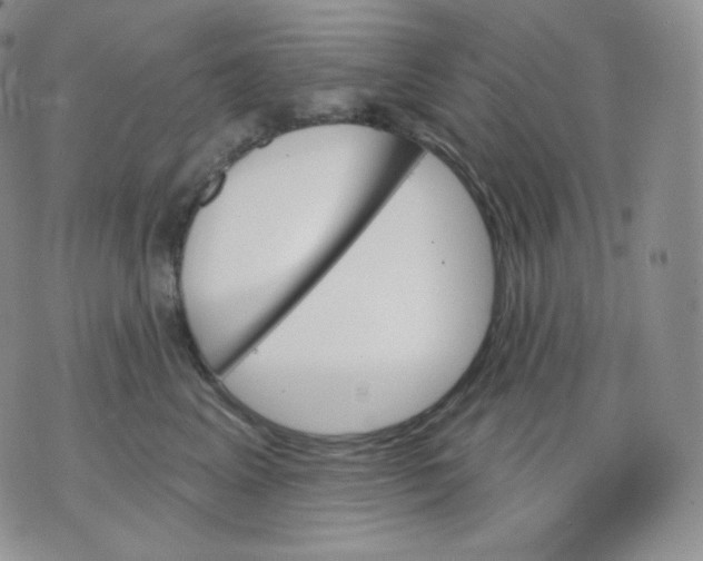 X0000070860617200607071859