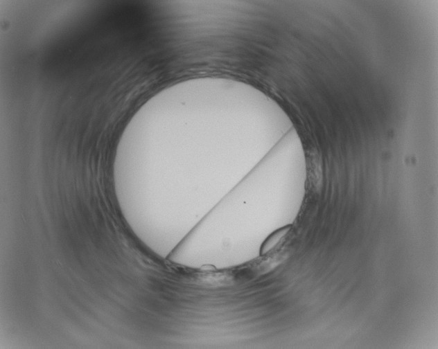 X0000070860619200607071859