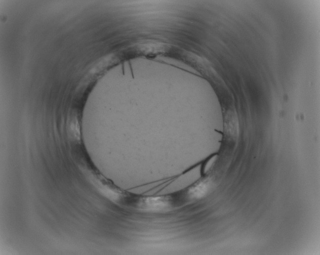 X0000070860622200607071859