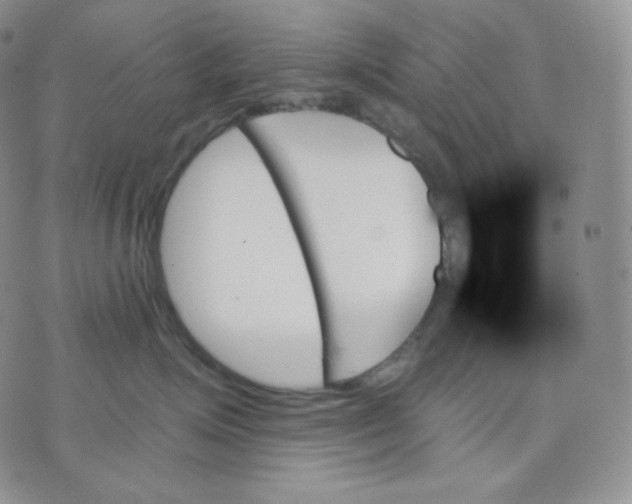 X0000070860623200607071859