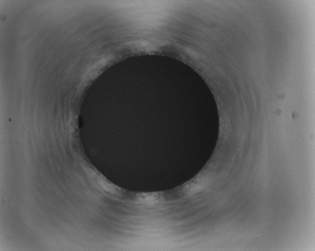 X0000070860624200607071859