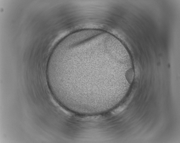 X0000070860625200607071858