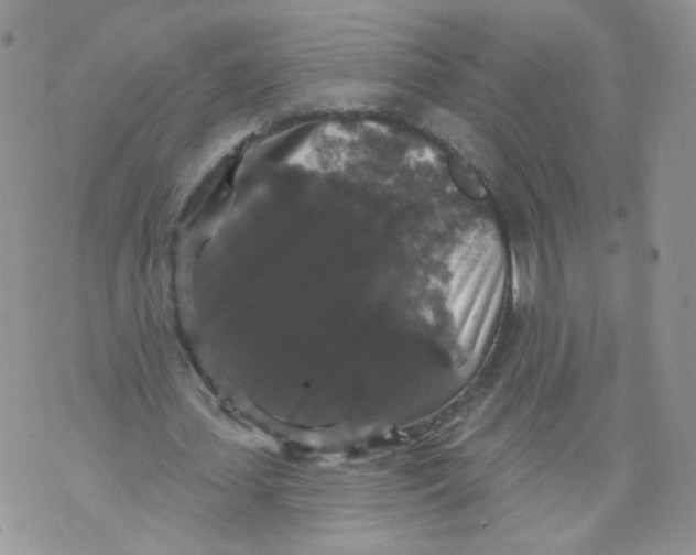 X0000070860627200607071858