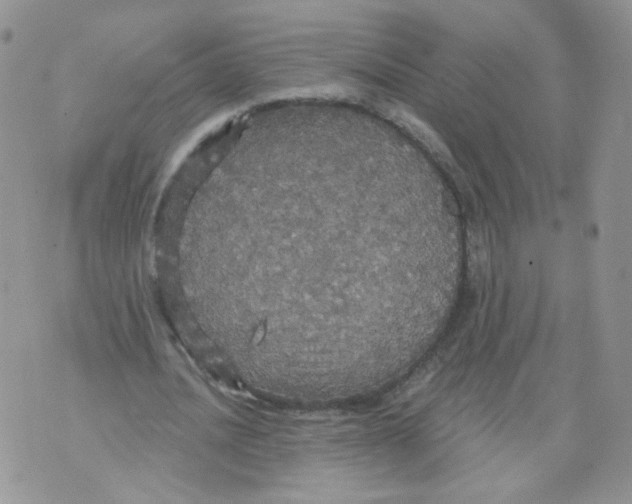 X0000070860628200607071858