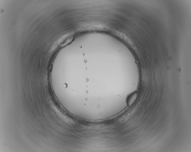 X0000070860629200607071858