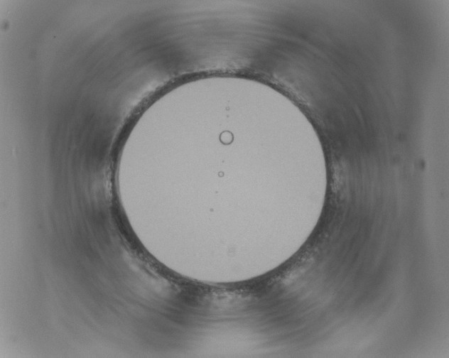 X0000070860632200607071858