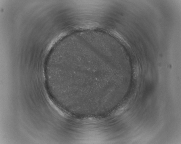 X0000070860634200607071858