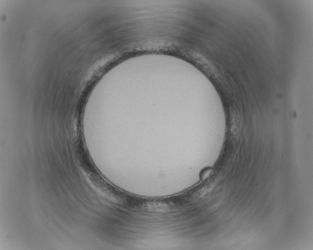 X0000070860636200607071858