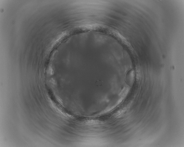 X0000070860637200607071858