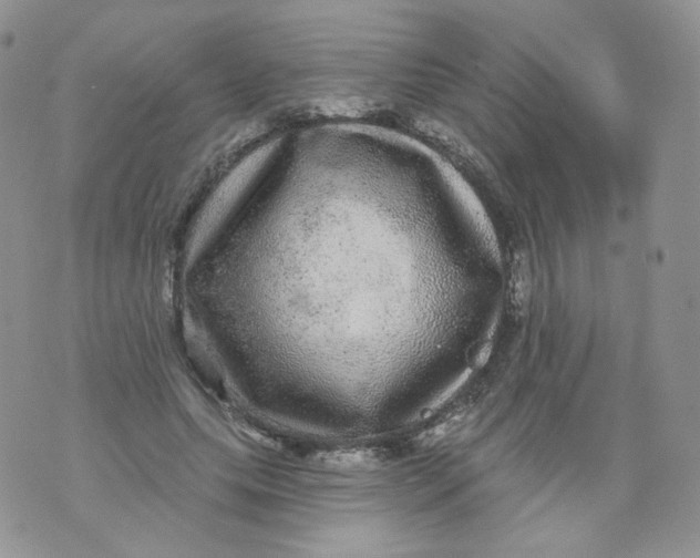 X0000070860639200607071858