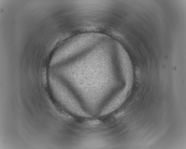 X0000070860642200607071858