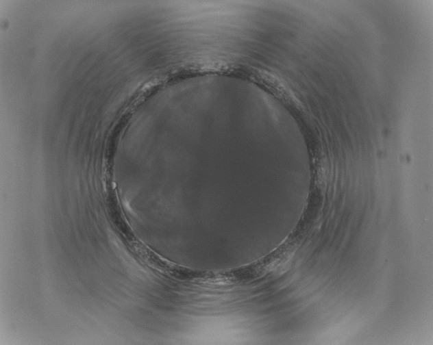 X0000070860643200607071858